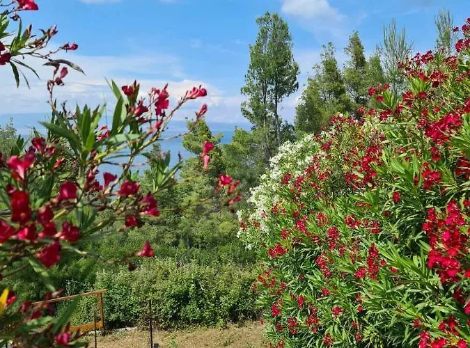 Tatil Evi Janis Seaview