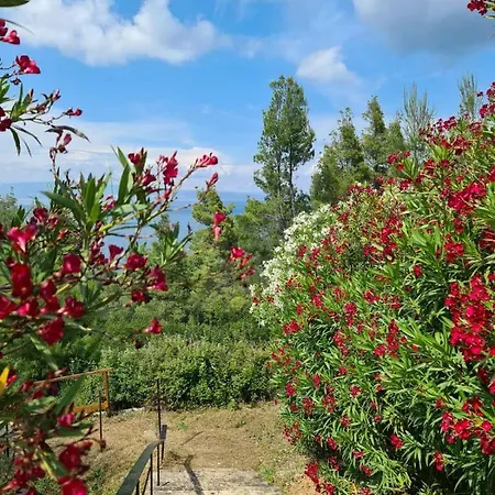 Prázdninový dům Janis Seaview